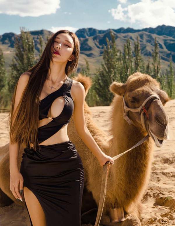 新加坡私人伴游